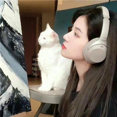 呼朋引伴