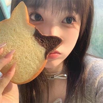 兽娘动物园