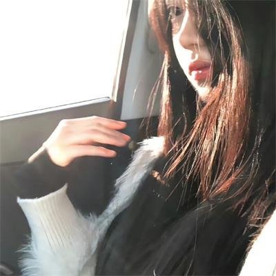 恐龙王